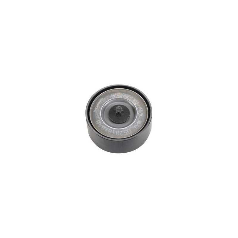 Galet de courroie Accessoires Mopar Jeep Wrangler JL 2.2L Diesel