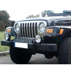 enjoliveur de calandre (grille) INOX TJ