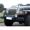 enjoliveur de calandre (grille) INOX TJ
