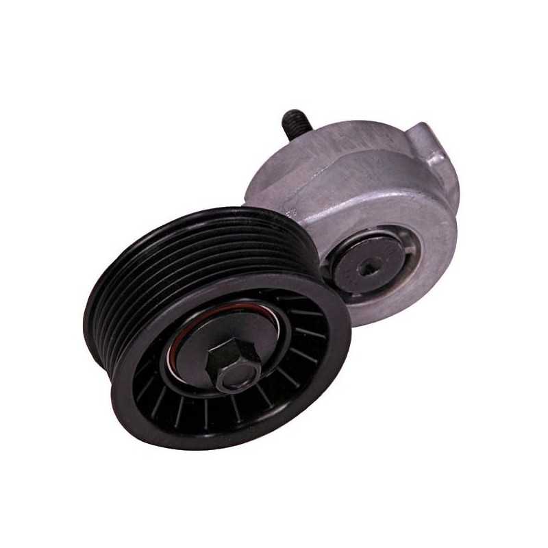 Galet & tendeur courroie accessoire V8 5.2l & 5.9l Jeep Grand Cherokee ZJ 93-98